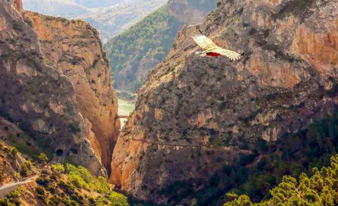 Caminito Del Rey: Guided Tour and Entry Ticket - Age and Identification Requirements