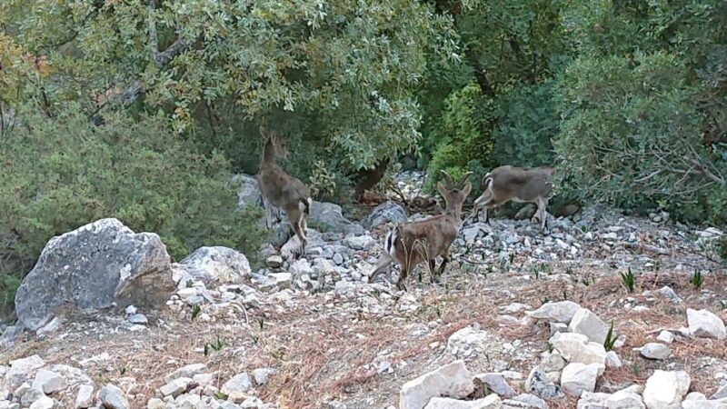 Caminito Del Rey: Guided Tour With 1 Drink and Shuttle Bus - Inclusions and Exclusions