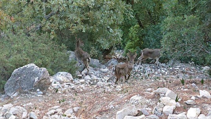 Caminito Del Rey: Guided Tour With 1 Drink and Shuttle Bus - Participant Requirements and Restrictions