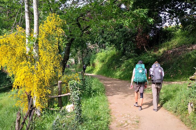 Camino De Santiago Last 100 Km Sarria to Santiago De Compostela - Key Points