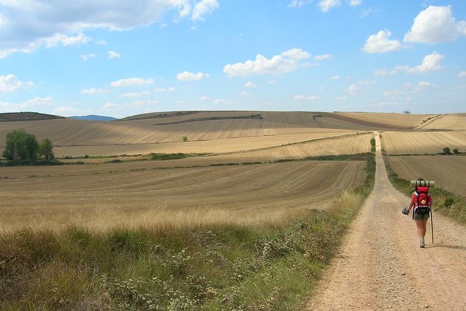 Camino De Santiago: Last 100 Km Walk From Sarria to Santiago De Compostela - Highlights of the Daily Walks