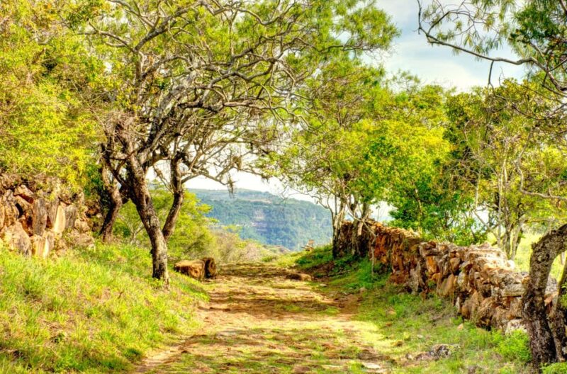 Camino Real From Barichara to Guane Day Tour - Key Points