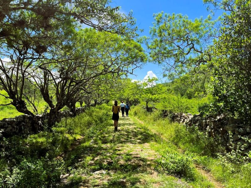 Camino Real Trekking: Barichara-Guane + Paleontological Museum - Highlights and Experiences