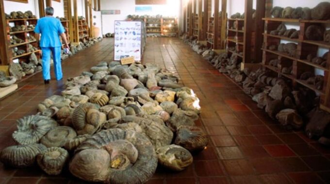 Camino Real Trekking: Barichara-Guane + Paleontological Museum - Tour Logistics