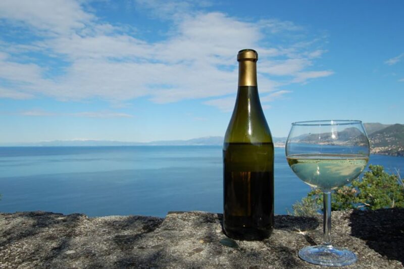 Camogli: Ligurian Wine Tasting Experience - Wine Varieties and Tastings