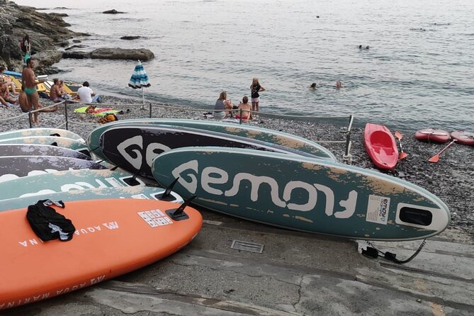 Camogli, Portofino by E-Bike - Group Size and Participant Criteria