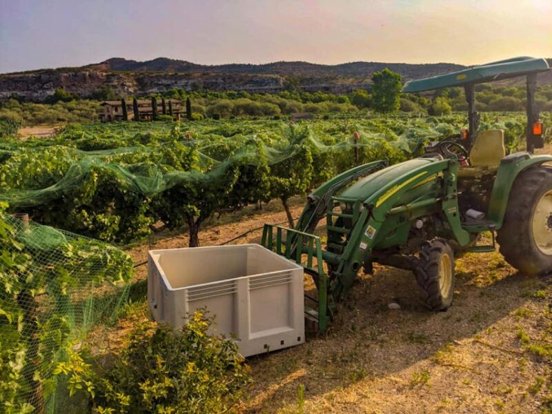 Camp Verde: Jeep Tour and Winery Tasting - Jeep Tour and Winery