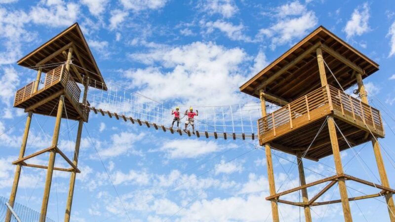 Camp Verde: Predator Zip Lines Guided Tour - Zip Line Experience