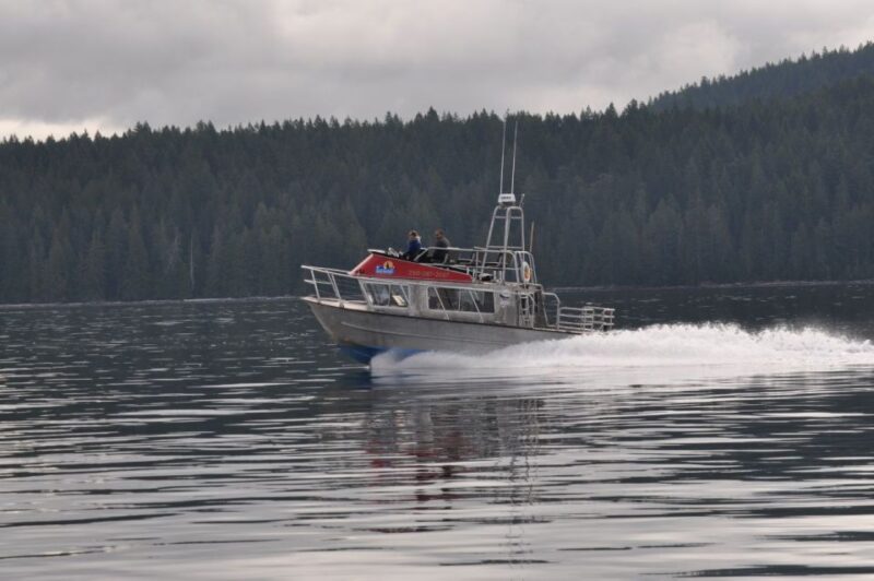 Campbell River: 6-Hour Whale Watching Boat Tour - Wildlife Encounters