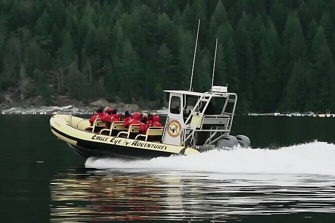 Campbell River, BC: 4 Hour Wildlife Tour Featuring Whale Watching - Introduction