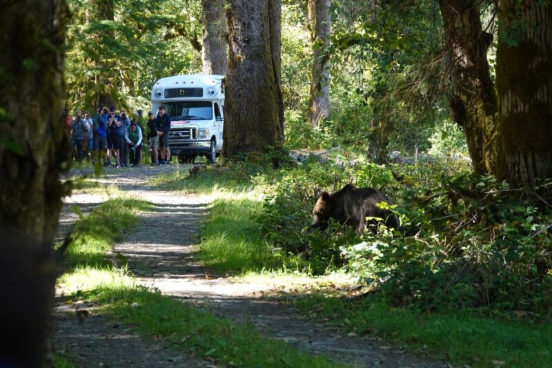 Campbell River: Bute Inlet Grizzly-Watching Tour & Boat Ride - Itinerary