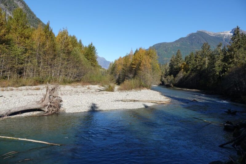 Campbell River: Bute Inlet Grizzly-Watching Tour & Boat Ride - Customer Reviews