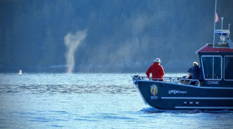 Campbell River: Grizzly Bear-Watching Tour With Lunch - Key Points