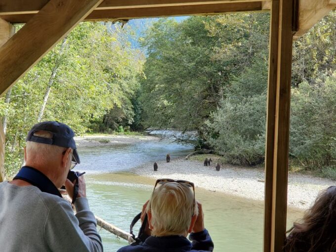 Campbell River: Grizzly Bear-Watching Tour With Lunch - What to Bring