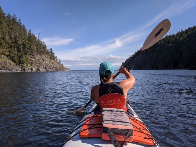 Campbell River: Kayaking and Whale Watching Tour - Included Activities