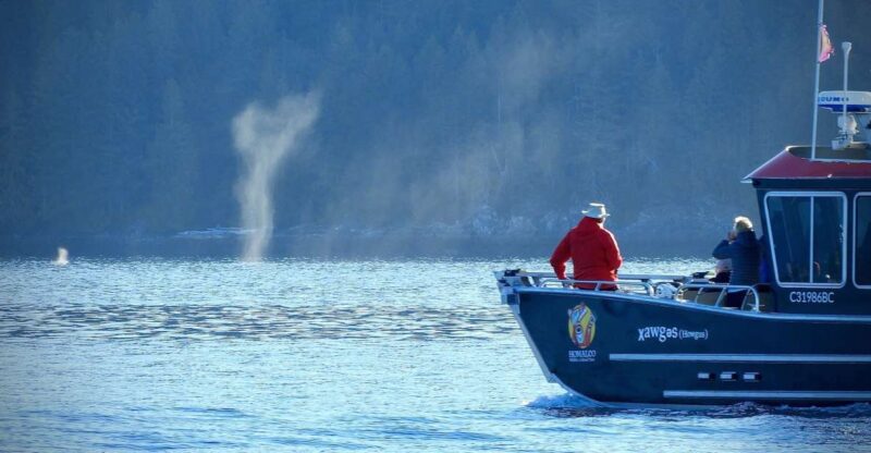 Campbell River: Salish Sea Whale Watching Adventure - Wildlife Encounters