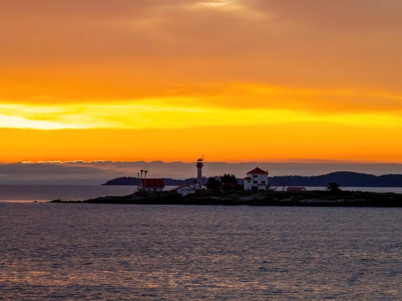 Campbell River: Scenic Sunset Tour By Boat - Wildlife Experience