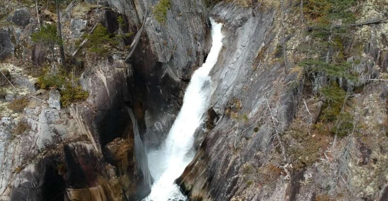 Campbell River: Waterfall and Wildlife Guided Boat Tour - Key Points