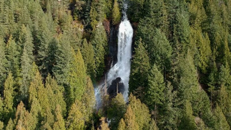 Campbell River: Waterfall and Wildlife Guided Boat Tour - Captivating Landscapes