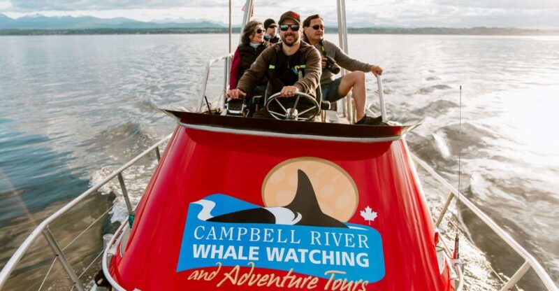 Campbell River: Whale Watching and Wildlife Viewing Day Tour - Vessel Options