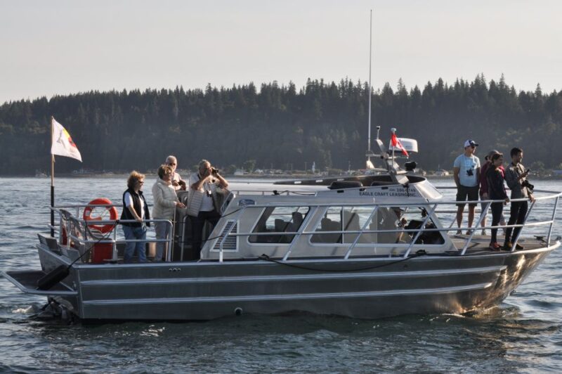 Campbell River: Whale Watching and Wildlife Viewing Day Tour - Customer Feedback