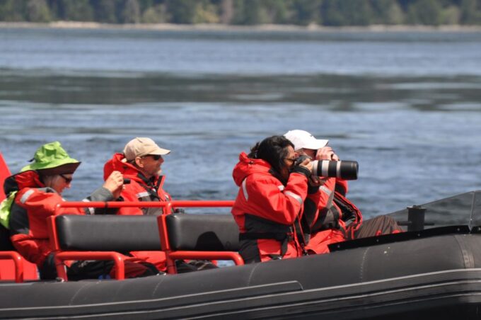 Campbell River: Whale Watching and Wildlife Viewing Day Tour - Tour Highlights