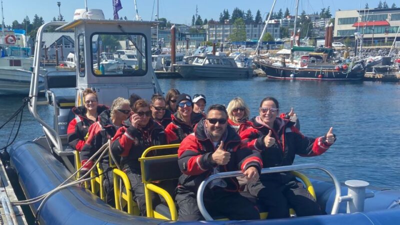 Campbell River: Whale Watching Zodiac Boat Tour With Lunch - Chance to Spot Diverse Wildlife