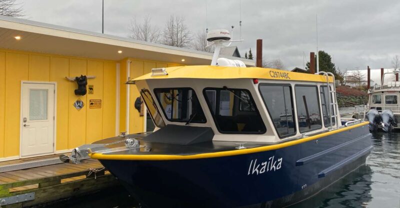 Campbell River: Wildlife Tour by Covered Boat - Activity Highlights