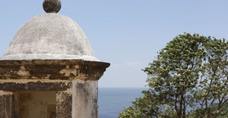 Campeche City Tour: Discovering the Walled City. - Tour Experience and Highlights