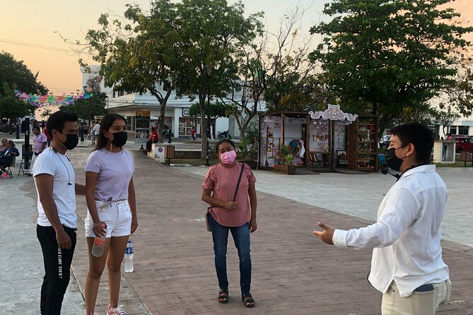 Campeche: Highlights, Museums and Downtown Tour - Accessibility and Participation
