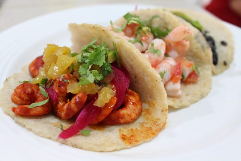 Campeche: The Jewel by the Sea City Tour - Experience Highlights