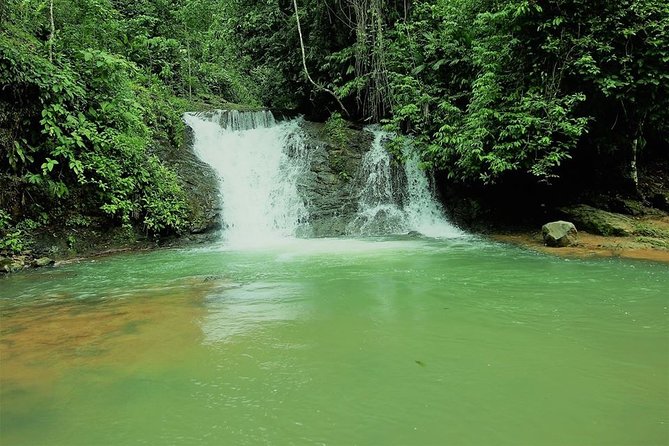 Campesinos Waterfalls and Hanging Bridges From Manuel Antonio - Transportation and Logistics