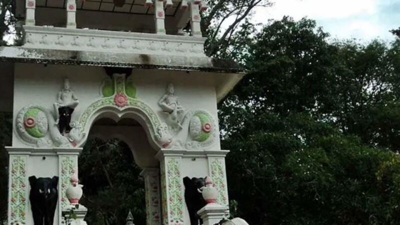 Campfire, Culture & Waterfalls: Sri Lankan Local Adventure - Key Points