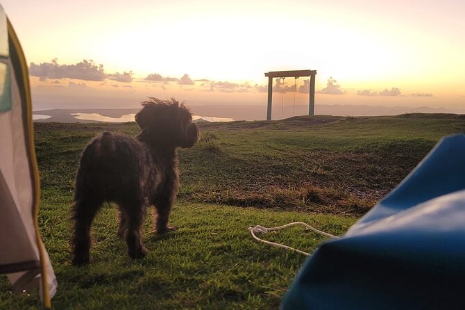Camping in a Dominican Mountain and Tour to Remote Beach - About Your Stay