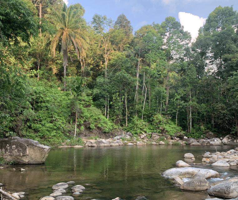 Camping in Kuala Lumpur - Serene Environment