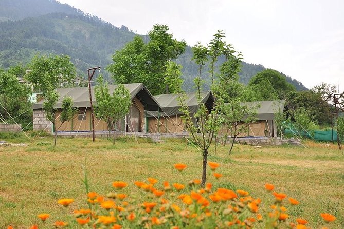Camping in Manali, Himachal Pradesh - Engaging Outdoor Activities and Sports