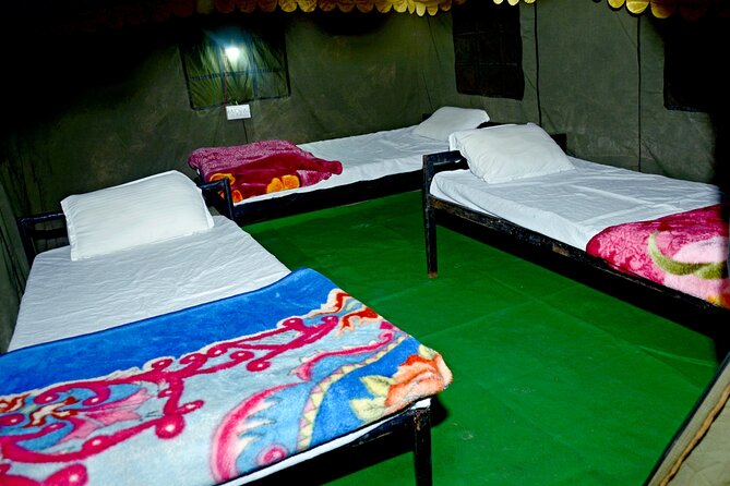 Camping in Rishikesh - 1N 2D - Transportation and Meeting