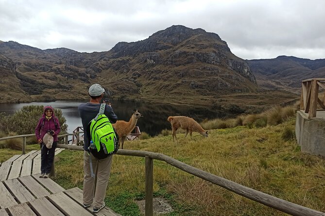 Camping Tour Cajas National Park From Cuenca - Additional Important Information