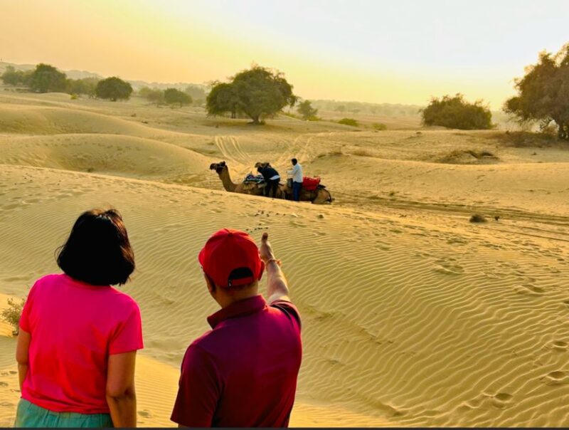 Camping & Traditional Dance, Sleep on Dunes Under Stars - Accommodation and Meals