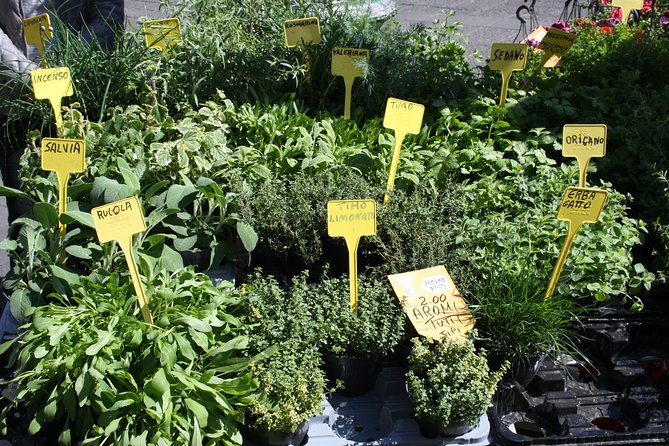 Campo Dei Fiori Market and Trevi Fountain District Food & Wine Tour in Rome - Additional Information to Note