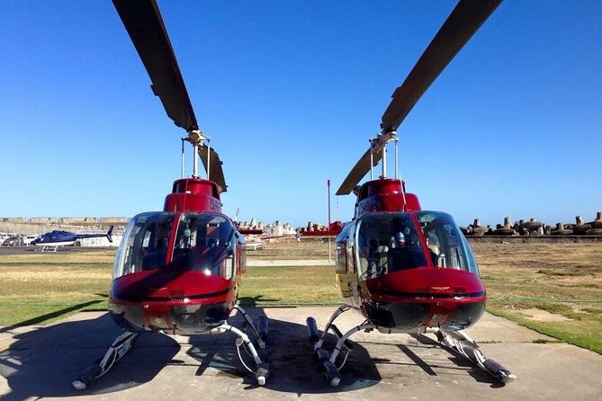 Camps Bay and Hout Bay Helicopter Tour From Cape Town - Accessibility