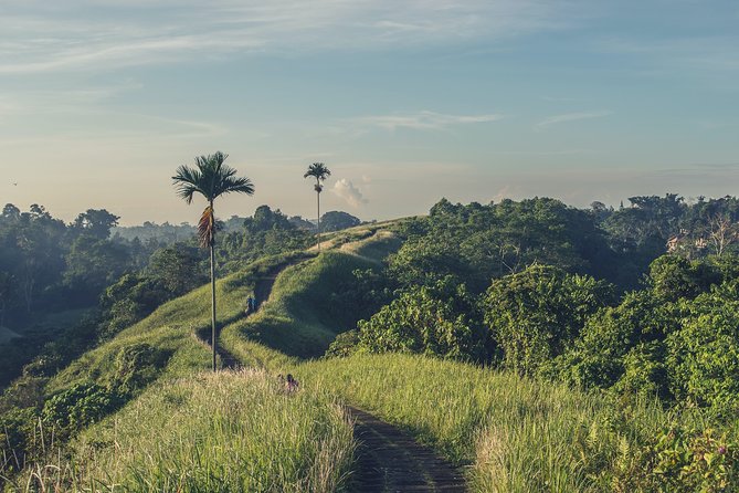 Campuhan Ridge Walk Trekking - Rice Terraces - Volcano and Water Temple - Key Points