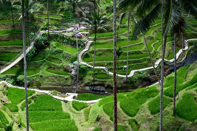Campuhan Ridge Walk Trekking - Rice Terraces - Volcano and Water Temple - Discover Tegalalang Rice Terrace