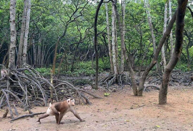 CAN GIO BISOPHERE RESERVE - Location and Significance