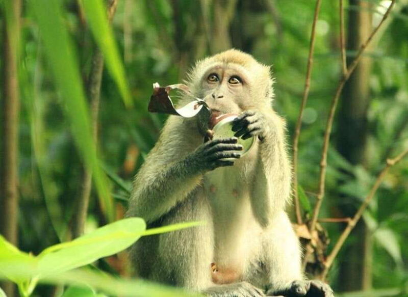 CAN GIO BISOPHERE RESERVE - Inclusions and Logistics