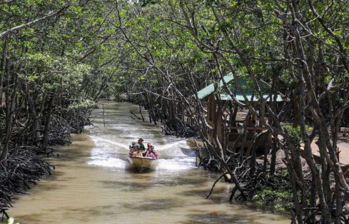 CAN GIO BISOPHERE RESERVE - Additional Tips for Visitors