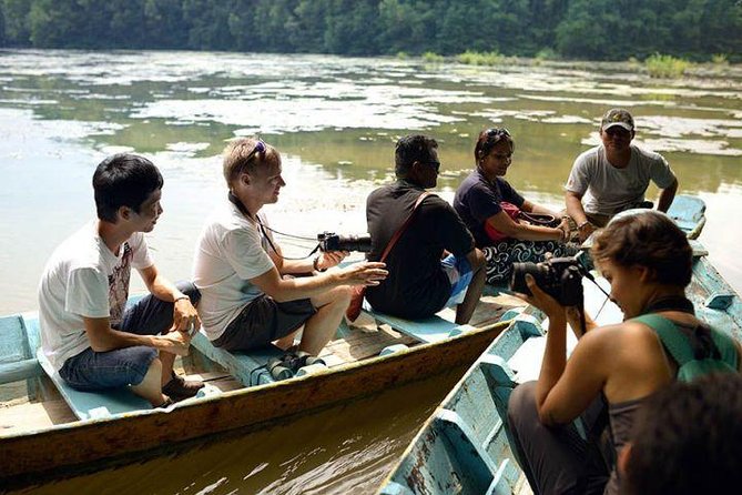 Can Gio Forest Day Trip Review - Key Points