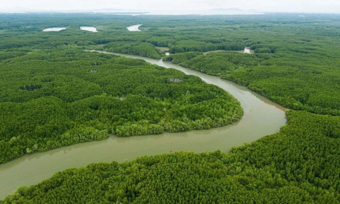 Can Gio Mangrove 1 Day - Frequently Asked Questions