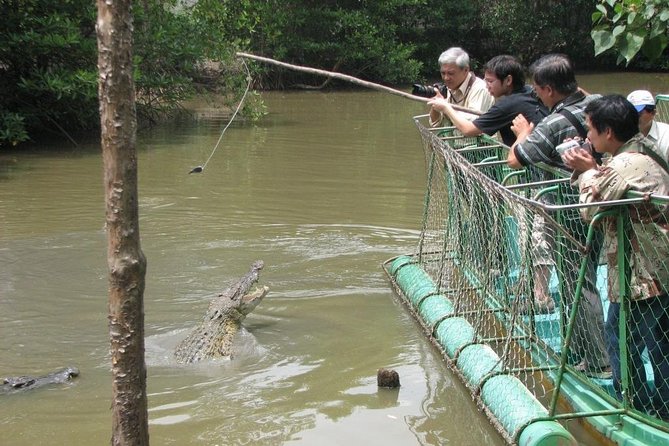 Can Gio Mangrove Biosphere Reserve 1 Day - Tour Overview