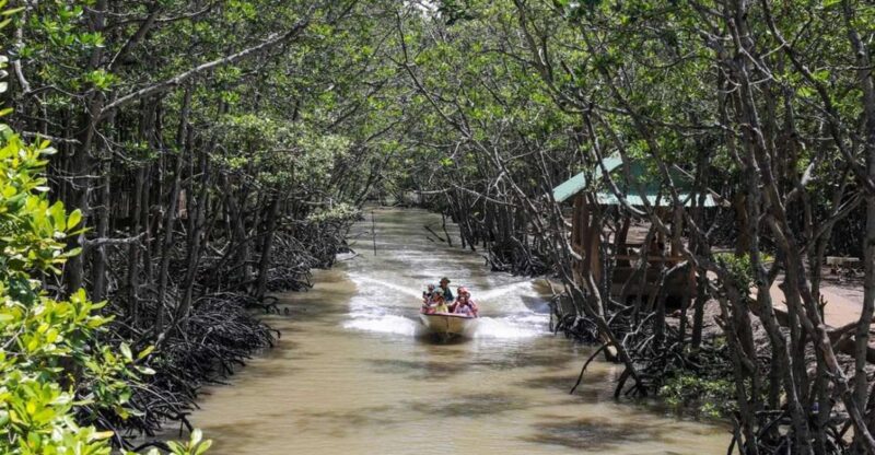 Can Gio Mangrove Biosphere Reserve 1 Day - Key Points